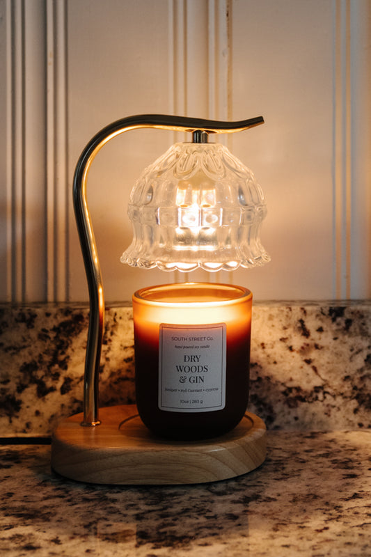 Dry Woods & Gin - Wickless Candle for Warmers