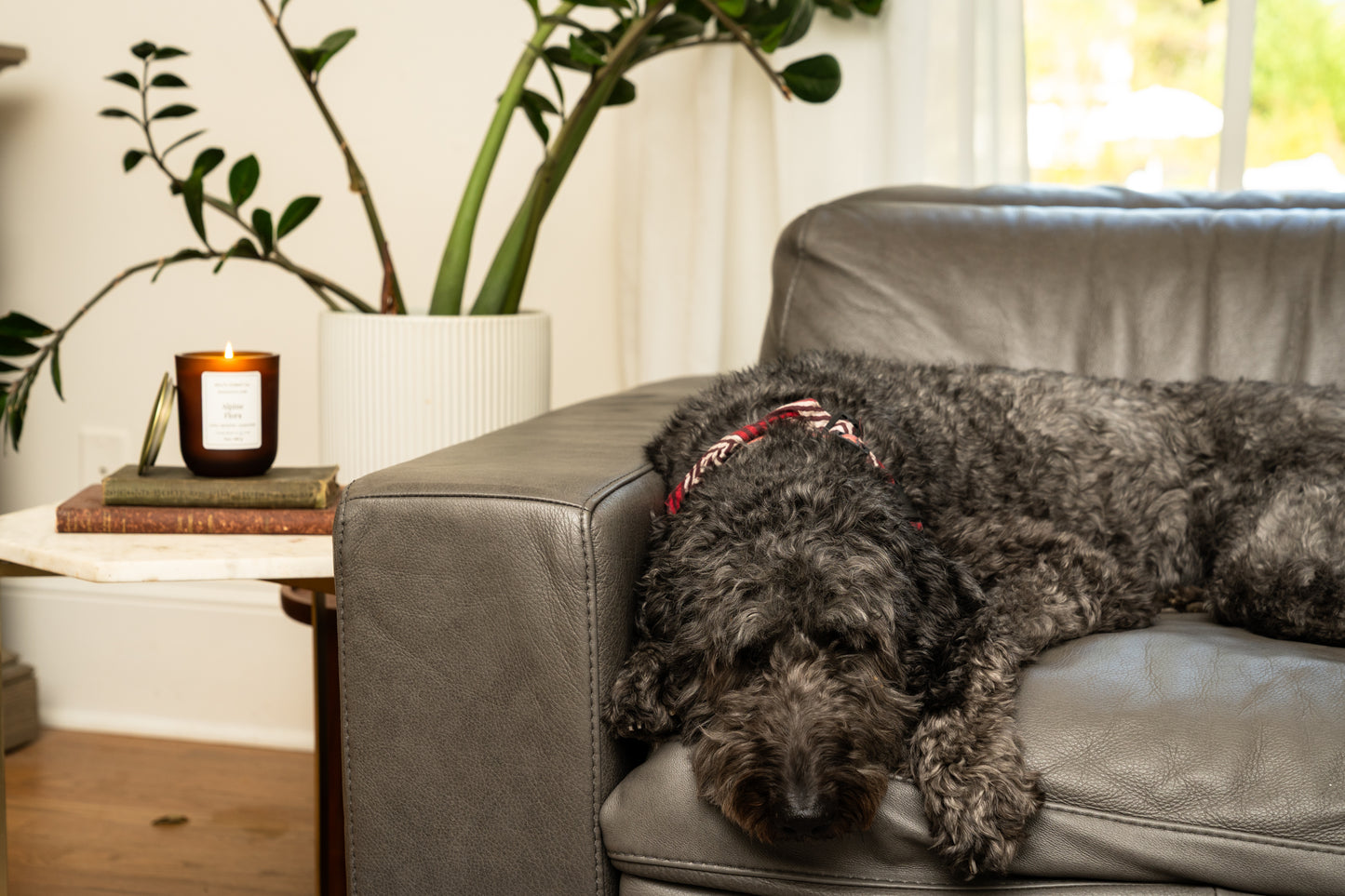 Alpine Flora - 10 oz Luxury Soy Candle